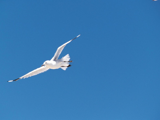 362143 (a): :1600x1200